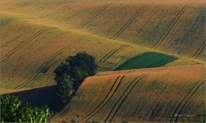 <p>jižní Morava</p>